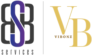 BSB x Vibonz