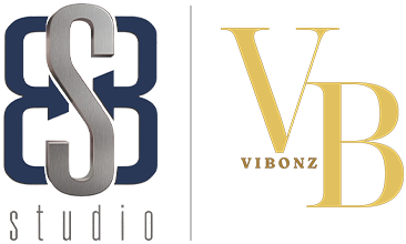 BSB x Vibonz